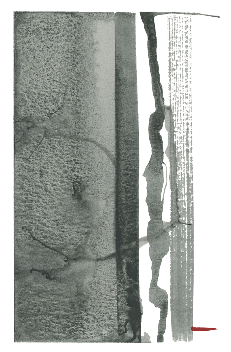 181 close up transparent - 800